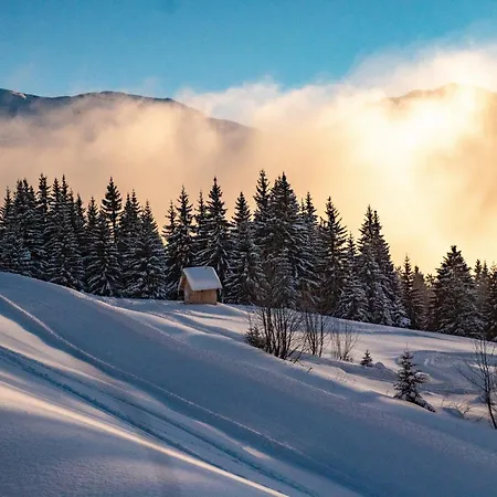 Chocolate Moose - Snow And Trek -