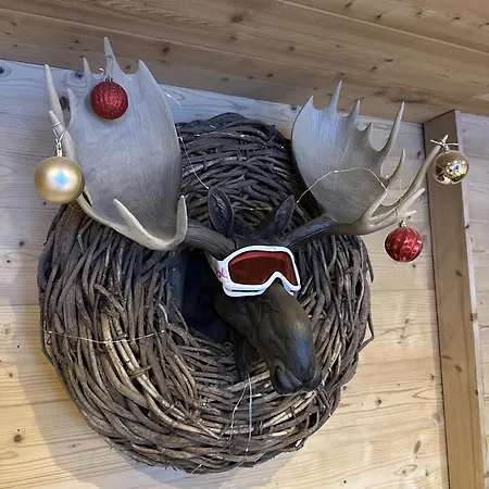 Chocolate Moose - Snow And Trek - Dağ evi Morzine