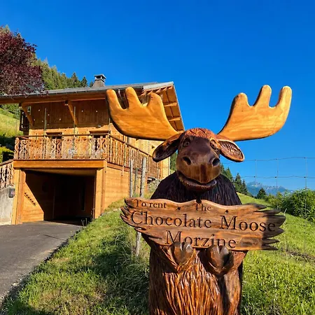 Chocolate Moose - Snow And Trek - *